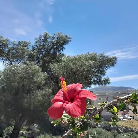 בית נופש Mountain With Sea View