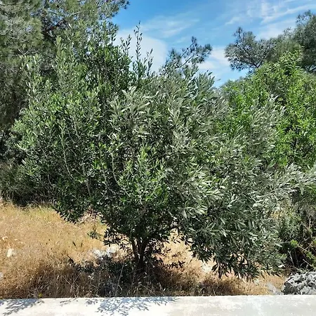 בית נופש Mountain With Sea View *