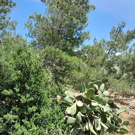 בית נופש Mountain With Sea View Kálymnos